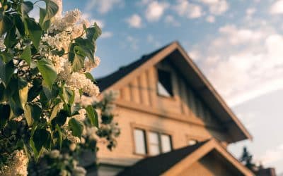 Top 5 Essential Home Maintenance Tasks for Spring