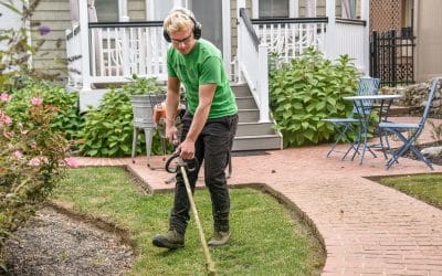 Creating Your Backyard Oasis on a Budget